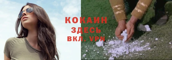 твердый Елабуга