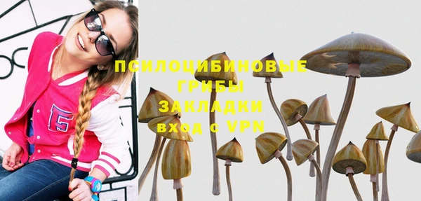 МДПВ Заводоуковск